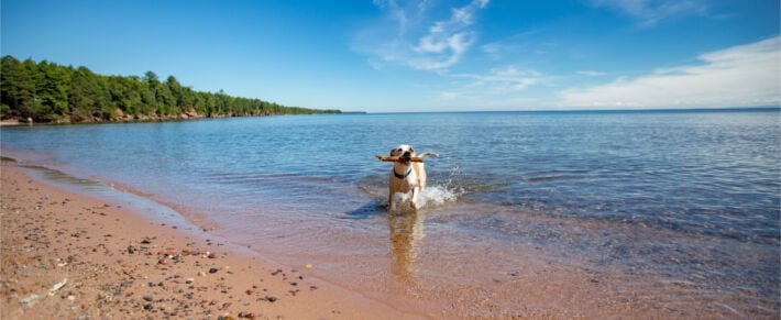Big Bay Beach